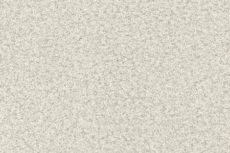 Now or Never fabric collection